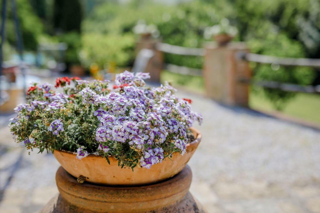 Villa Loghino โวลแตร์รา ภายนอก รูปภาพ