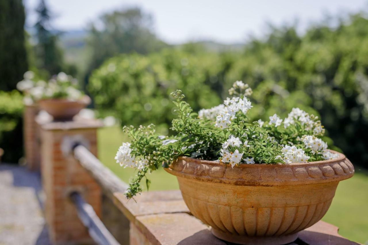 Villa Loghino โวลแตร์รา ภายนอก รูปภาพ